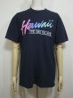 画像1: アメリカ製 80's Stedman Hawaii プリント Tシャツ (1)