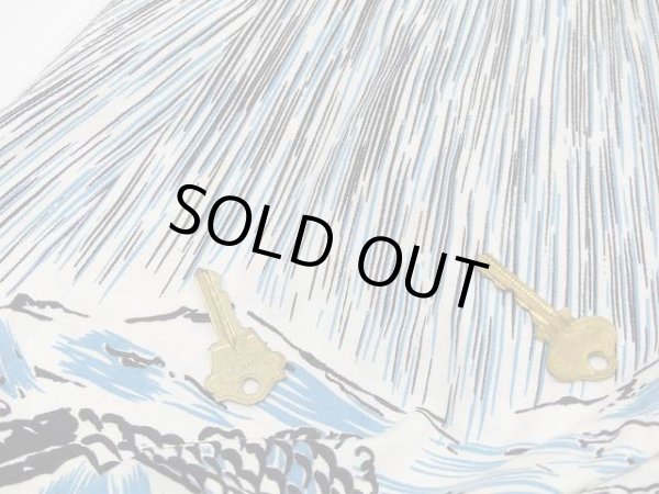 画像11: 50s ビンテージ 風景 カントリー 柄 コットン サーキュラー フレア スカート  (11)