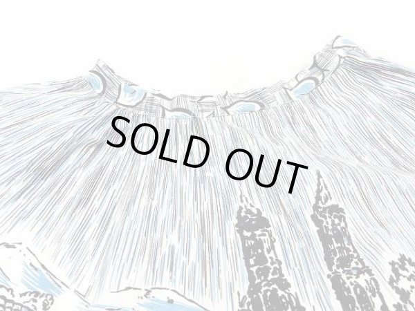 画像6: 50s ビンテージ 風景 カントリー 柄 コットン サーキュラー フレア スカート  (6)