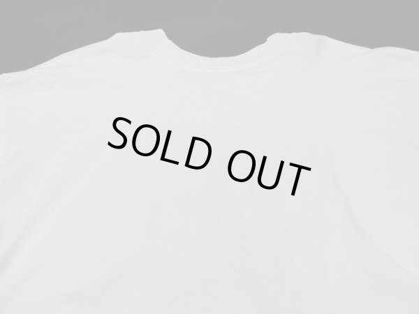 画像9: USA製 90s Princeton スーベニア 風景 絵画 プリント Tシャツ (9)