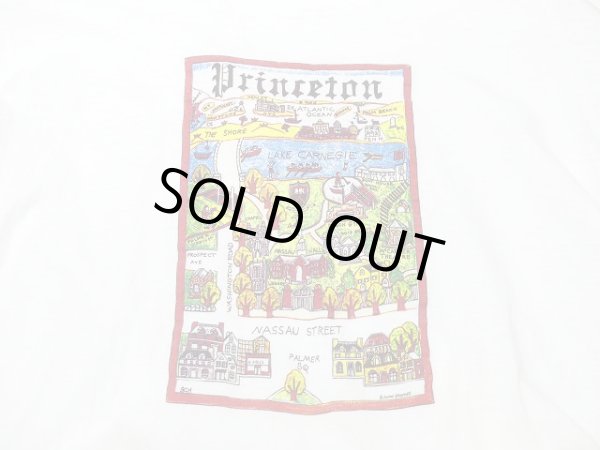 画像4: USA製 90s Princeton スーベニア 風景 絵画 プリント Tシャツ (4)