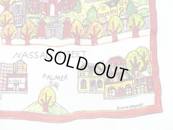 画像5: USA製 90s Princeton スーベニア 風景 絵画 プリント Tシャツ (5)