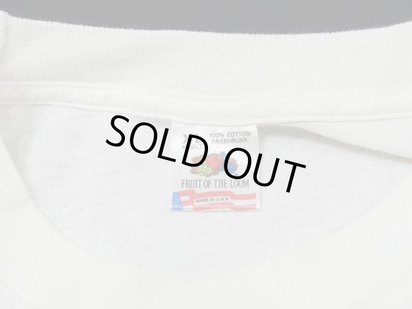 画像3: USA製 90s Princeton スーベニア 風景 絵画 プリント Tシャツ (3)