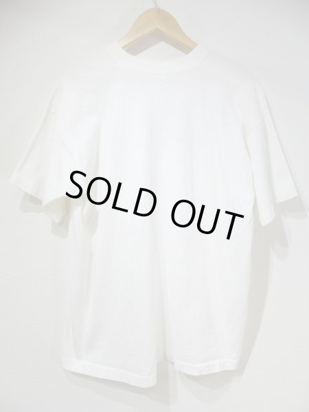 画像2: USA製 90s Princeton スーベニア 風景 絵画 プリント Tシャツ (2)