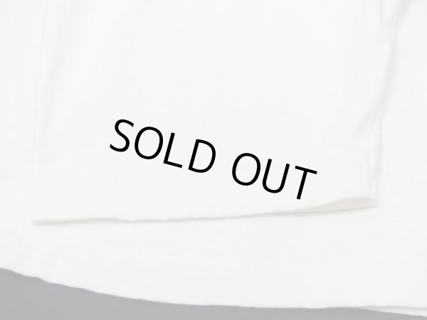 画像8: USA製 90s Princeton スーベニア 風景 絵画 プリント Tシャツ (8)