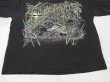 画像8: 90s Stand OUT DESIGNS HONEY ISLAND SWAMP TOURS ジャングル クロコダイル 風景 スーベニア プリント Tシャツ (8)