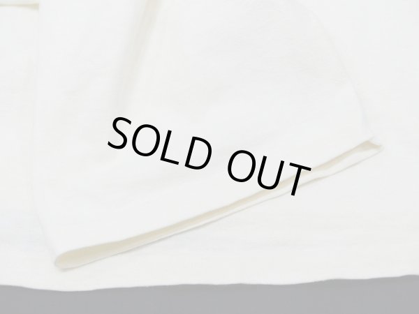 画像9: USA製 80s Hanes San Diego Zoo サンディエゴ 動物園 スーベニア 風景 絵画 プリント Tシャツ (9)