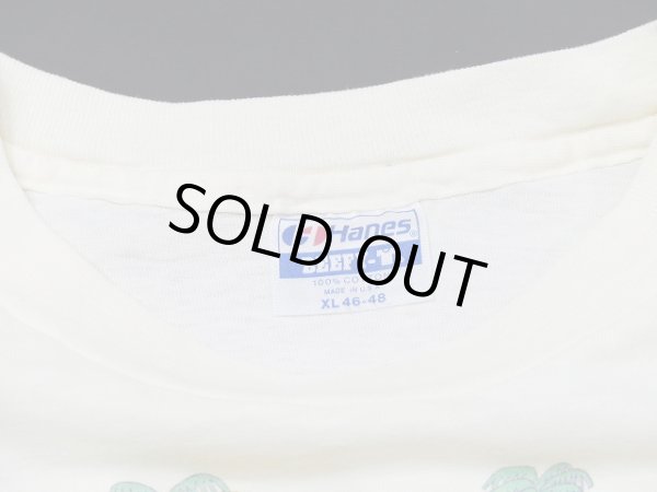 画像3: USA製 80s Hanes San Diego Zoo サンディエゴ 動物園 スーベニア 風景 絵画 プリント Tシャツ (3)