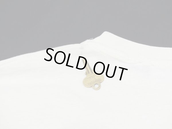 画像12: USA製 80s Hanes San Diego Zoo サンディエゴ 動物園 スーベニア 風景 絵画 プリント Tシャツ (12)