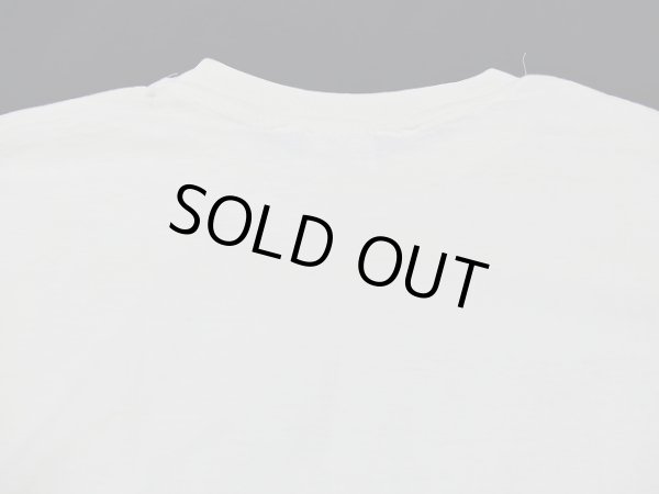 画像11: USA製 80s Hanes San Diego Zoo サンディエゴ 動物園 スーベニア 風景 絵画 プリント Tシャツ (11)