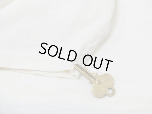 画像10: USA製 80s Hanes San Diego Zoo サンディエゴ 動物園 スーベニア 風景 絵画 プリント Tシャツ (10)