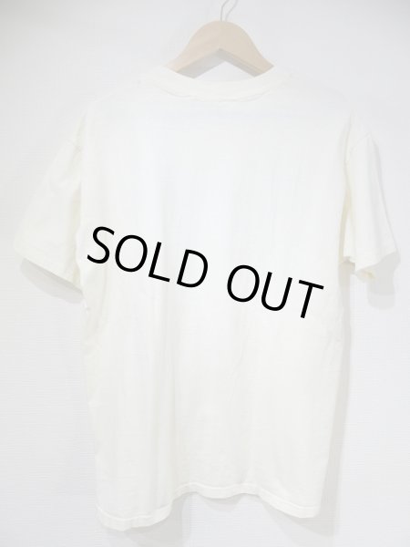 画像2: USA製 80s Hanes San Diego Zoo サンディエゴ 動物園 スーベニア 風景 絵画 プリント Tシャツ (2)