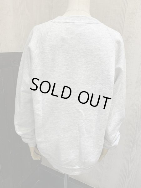 画像3: 90s MADE IN USA JERZEES 絵画 風景 プリント スウェット トレーナー  (3)