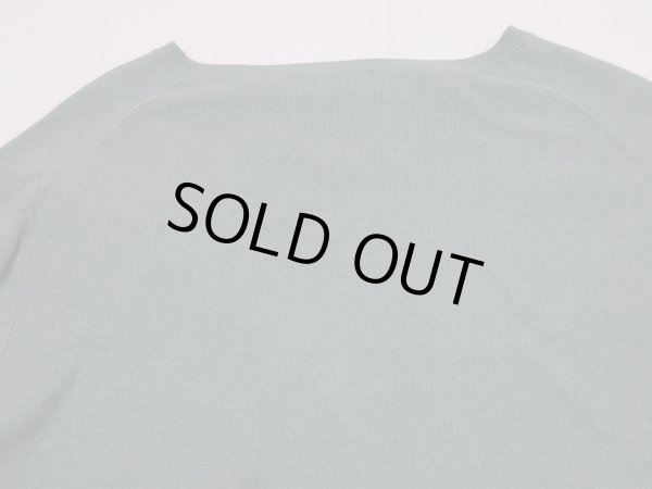 画像11: Polo Ralph Lauren ラルフローレン ポニー ワンポイント 刺繍 Vネック ピマ コットン ニット  (11)