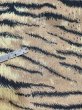 画像15: 90s ビンテージ STYLE タイガーパターン トラ 柄 ビーズ タッセル ノースリーブ ワンピース (15)
