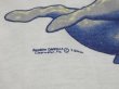 画像11: USA製 70s 80s ビンテージ マナティー スプリングス州立公園 ダイビング ショップ スーベニア リンガー Tシャツ (11)