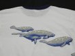 画像12: USA製 70s 80s ビンテージ マナティー スプリングス州立公園 ダイビング ショップ スーベニア リンガー Tシャツ (12)