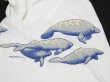 画像10: USA製 70s 80s ビンテージ マナティー スプリングス州立公園 ダイビング ショップ スーベニア リンガー Tシャツ (10)
