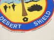画像9: USA製 90s ビンテージ Hanes OPERATION DESERT SHIELD Gulf war 湾岸戦争 両面 プリント スウェット トレーナー (9)