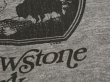 画像9: 80s ビンテージ Yellowstone Park スーベニア プリント ラグラン スリーブ 七分袖 Tシャツ ベースボールT (9)