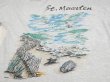 画像12: 90s Sailing バイカラー セントマーチン島 スーベニア プリント 風景画 Tシャツ (12)