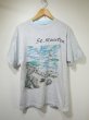 画像4: 90s Sailing バイカラー セントマーチン島 スーベニア プリント 風景画 Tシャツ (4)
