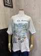 画像1: 90s Sailing バイカラー セントマーチン島 スーベニア プリント 風景画 Tシャツ (1)